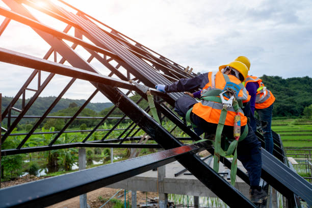 Best Metal Roofing Contractor  in Mendota Heights, MN